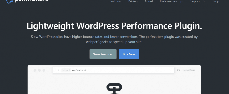 perfmatters Review: The #1 Plugin For WordPress Optimization!