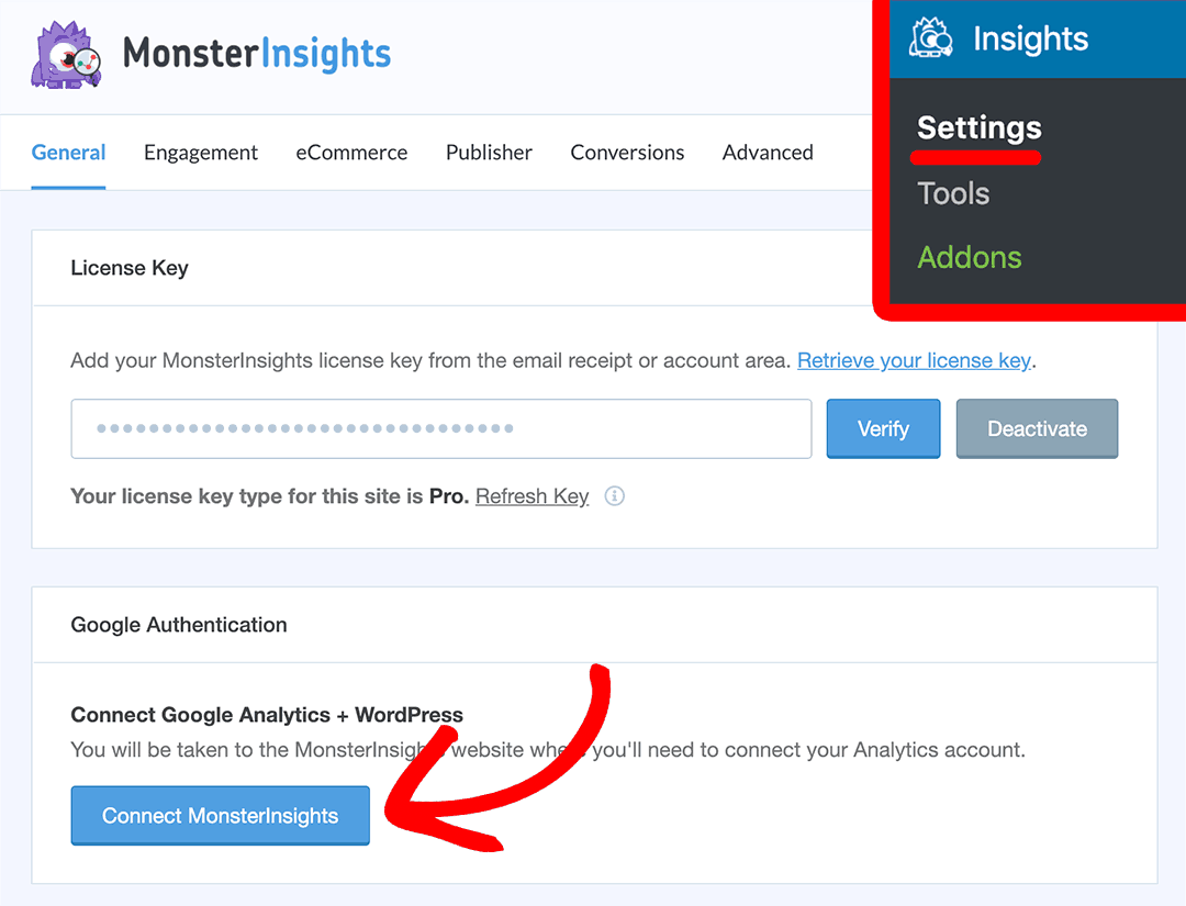 monsterinsights connection