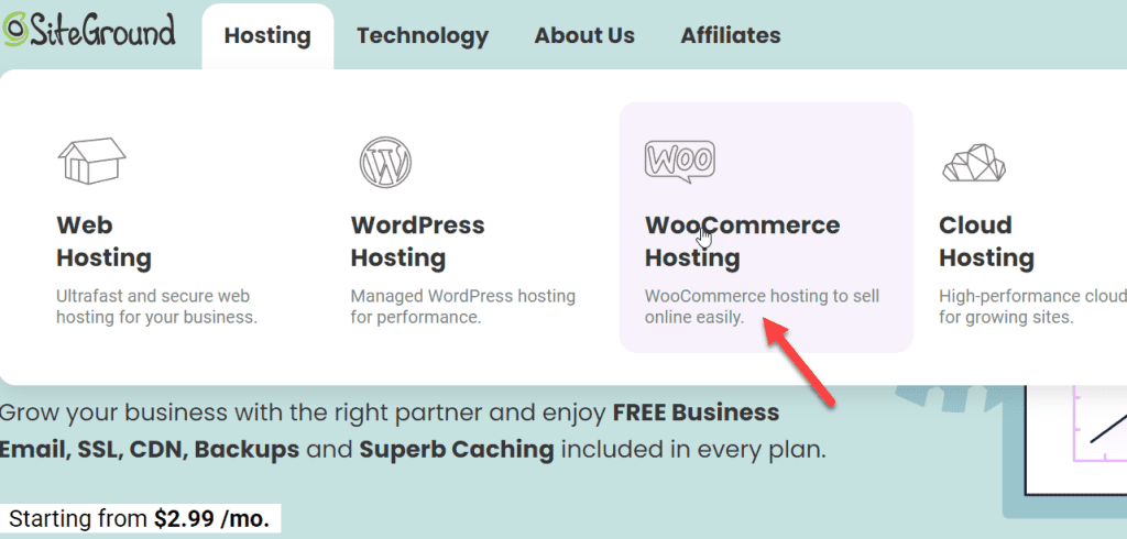 woocommerce hosting